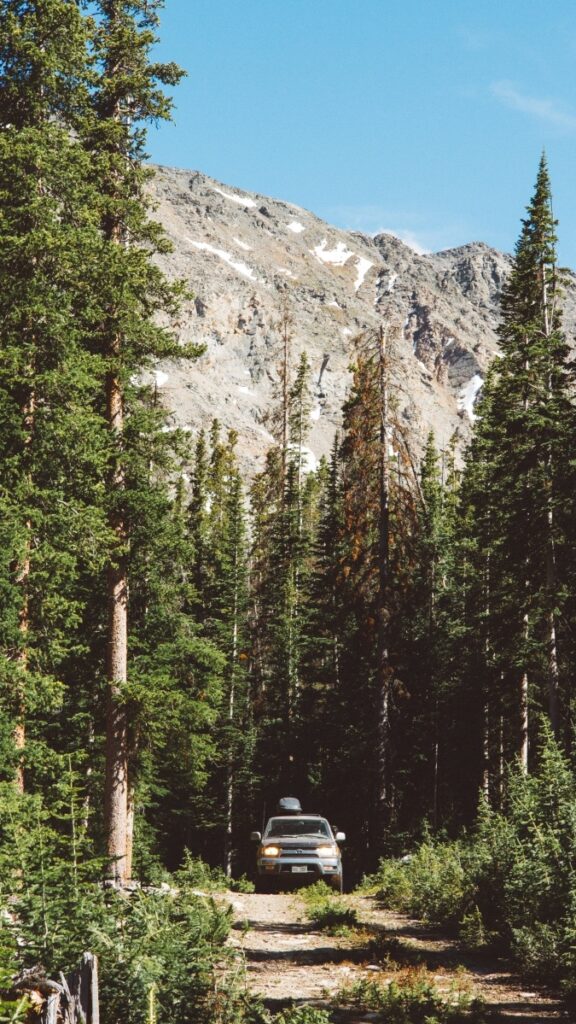 Hyatt, Conn and Schmitt